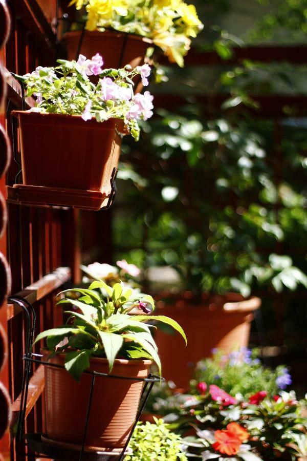 Apartmán Downtown Garden Isle In Urban Style-Free Parking Budapešť Exteriér fotografie